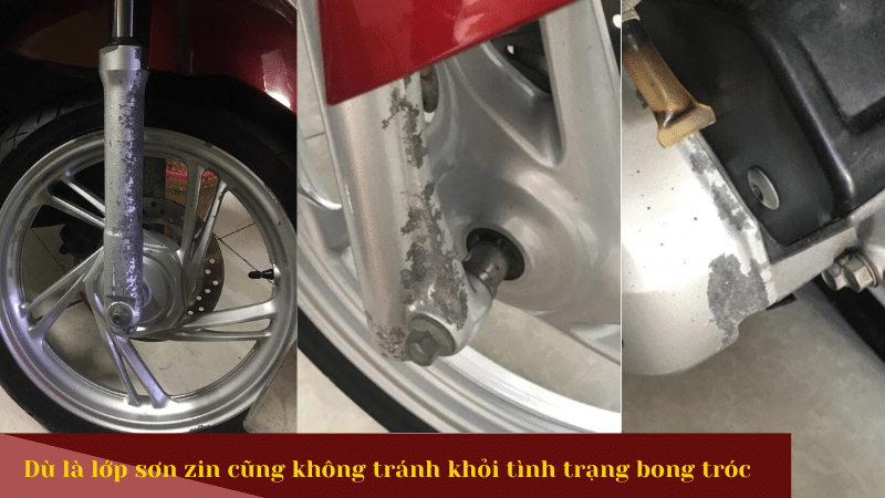 03-hinh-anh-mo-phong-dan-chan-troc-son-nang