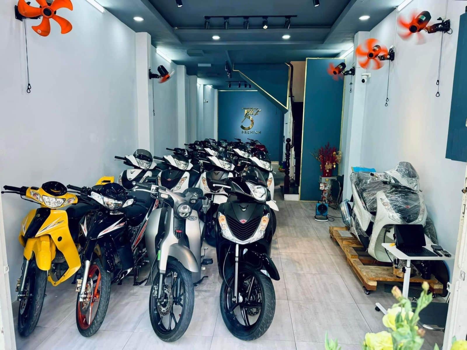 cua-hang-xe-yaz-nhap-khau-bien-so-dep-tu-5-premium Cửa hàng xe Yaz nhập khẩu Tứ 5 Premium
