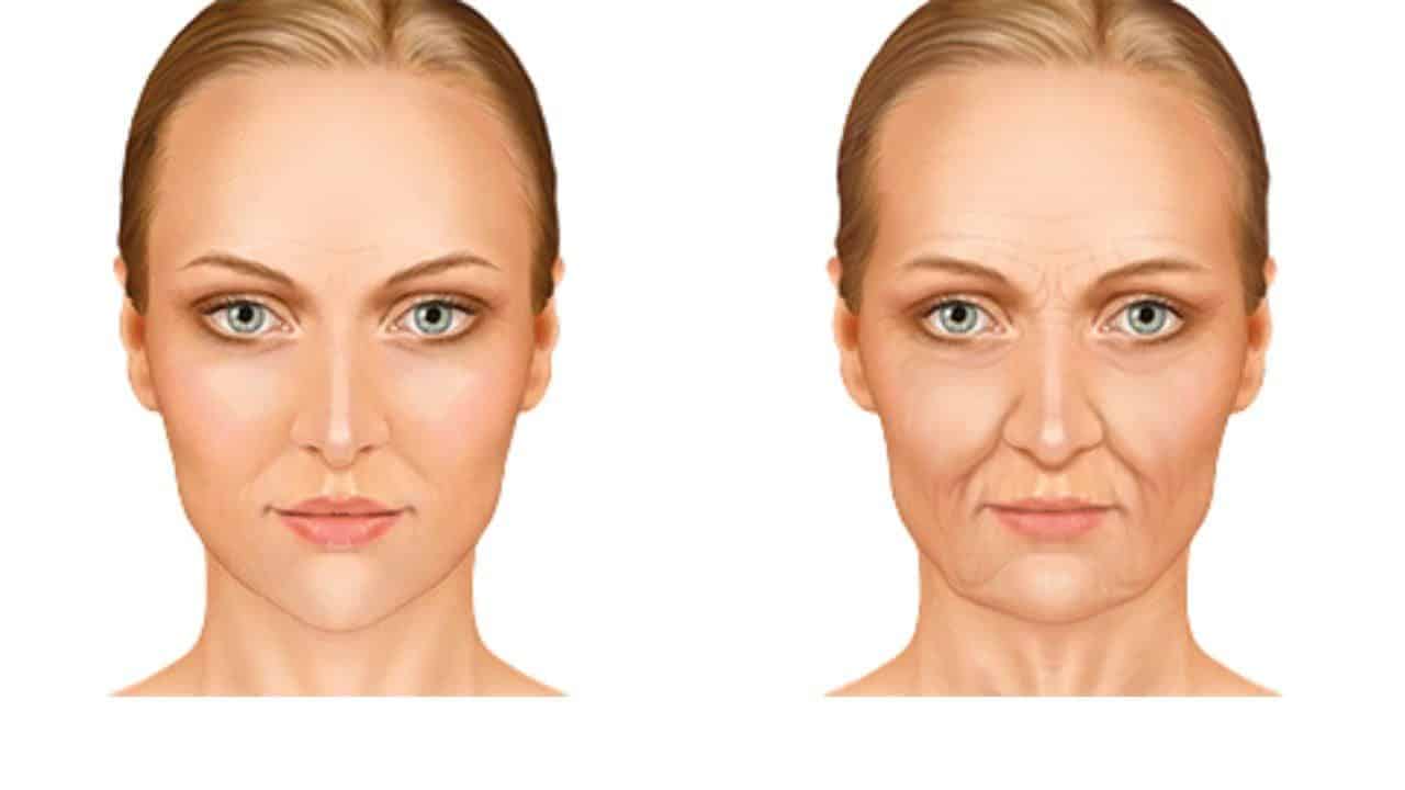 duong-phap-lenh-1 đường pháp lệnh là gì