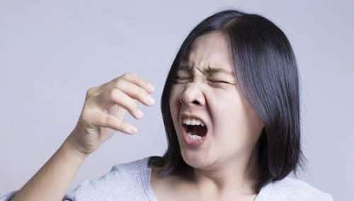 hat-xi-hoi-la-diem-gi-1 Nguyên nhân gây ra tình trạng hắt hơi liên tục
