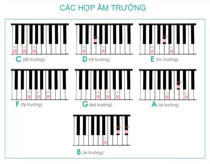 7 hợp âm trưởng cơ bản trong piano