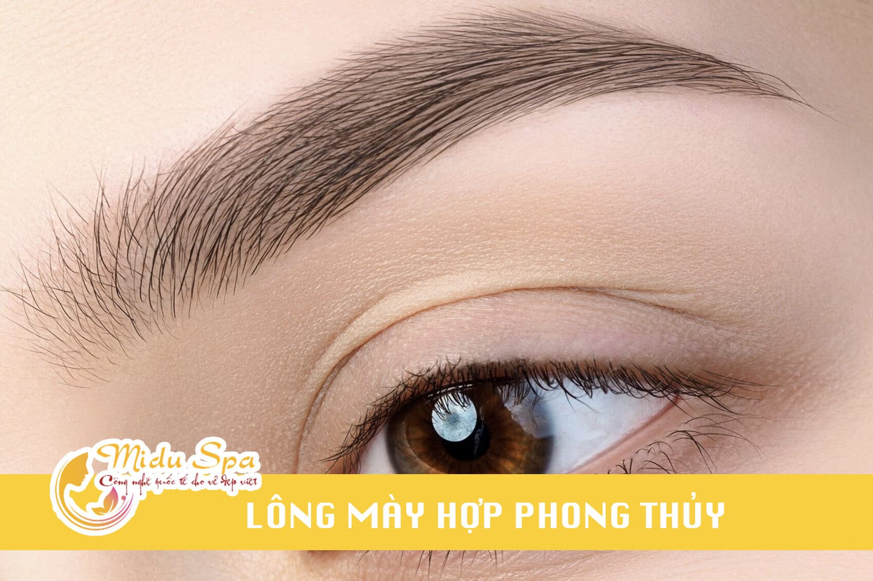 long-may-hop-phong-thuy-1 lông mày hợp phong thuỷ
