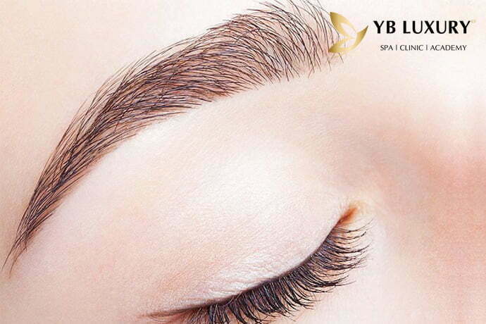 long-may-la-lieu Lông mày lá liễu