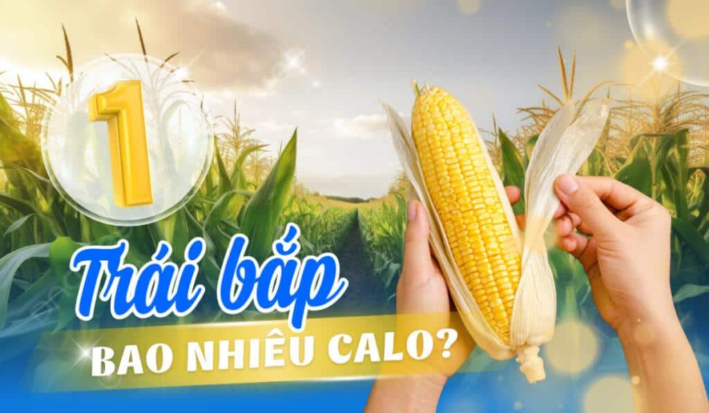 ngo-ngot-bao-nhieu-calo-1 1 trai bap bao nhieu calo