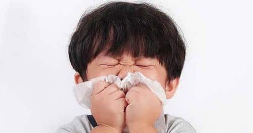 nhay-mui-theo-ngay-gio-1 Vì sao trẻ hay bị hắt xì hơi?