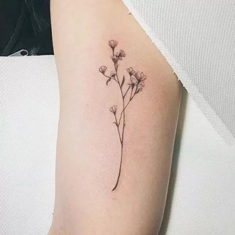 tatto7 Hình xăm mini đẹp ở bắp tay