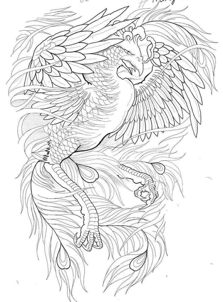 tattoo-designs-hinh-xam-phuong-hoang-den-trang-17-1 Tattoo Phượng Hoàng Màu Đen Trắng Ấn Tượng