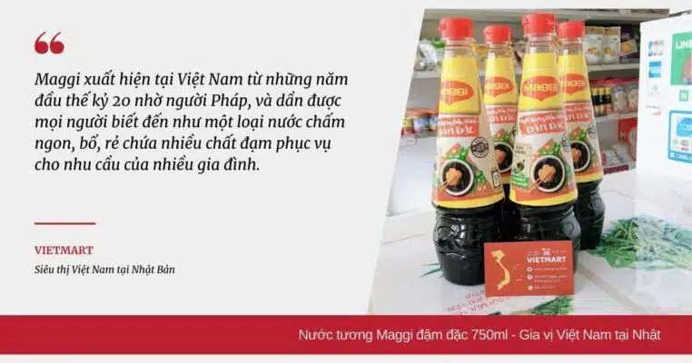 Nước tương Maggi đậm đặc 750ml - Gia vị Việt Nam tại Nhật